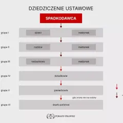 Schemat przedstawia kolejność dziedziczenia ustawowego: od dzieci i małżonka, przez rodziców, rodzeństwo, dziadków, pasierbów, aż do skarbu państwa.