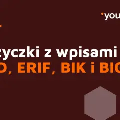 Vivus a BIK/KRD: Czy Twoja historia kredytowa przekreśla pożyczkę?