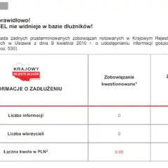 Jak sprawdzić KRD za darmo? Odkryj sekrety swojej historii!