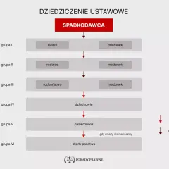 Schemat dziedziczenia ustawowego: od dzieci i małżonka, przez rodziców, rodzeństwo, dziadków, pasierbów, aż po skarb państwa. Spadek po rodzicach może trafić do różnych grup.